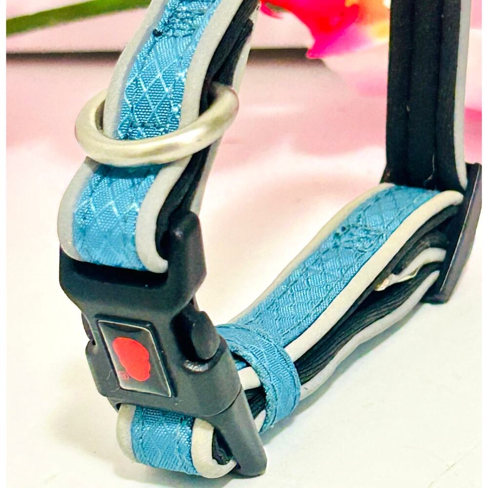 KONG Comfort Padded Reflective Dog Collar Blue Size Small 10-14" EUC - Picture 6 of 9